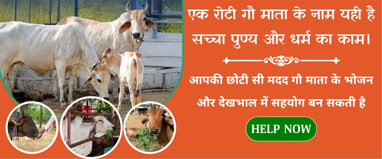 एक रोटी गौ माता के नाम - Help Now