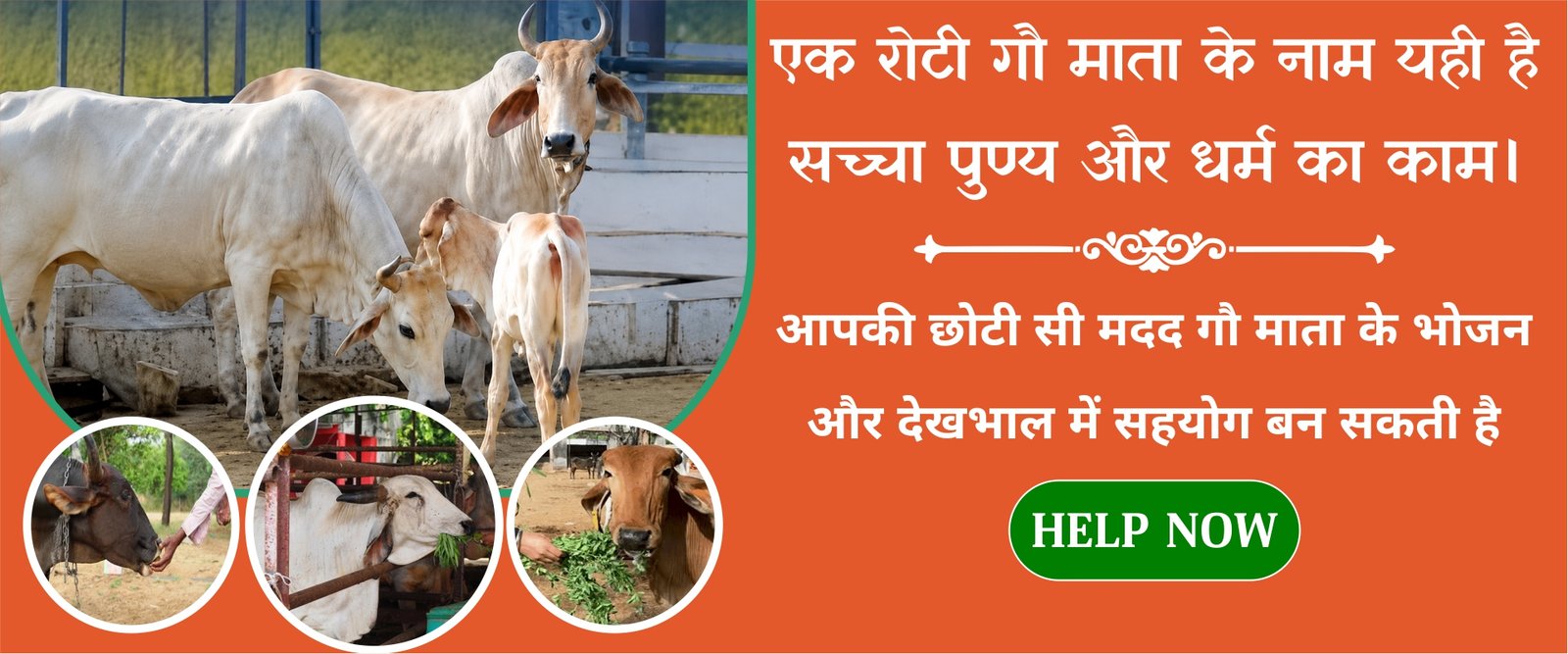 Shri Shyam Foundation public event gathering